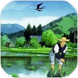 第五人格29赛季推理之径皮肤怎么获取